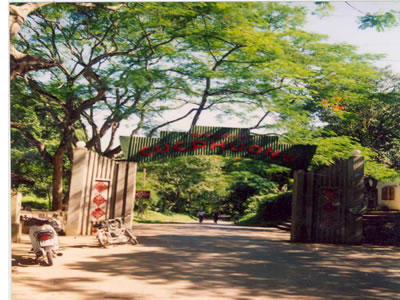 Ninh Binh - Bai Dinh - Trang An - Cuc Phuong